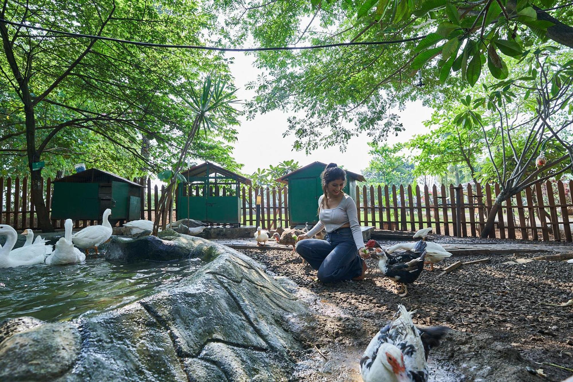 Grape County Eco Resort & Spa, Nášik Exteriér fotografie